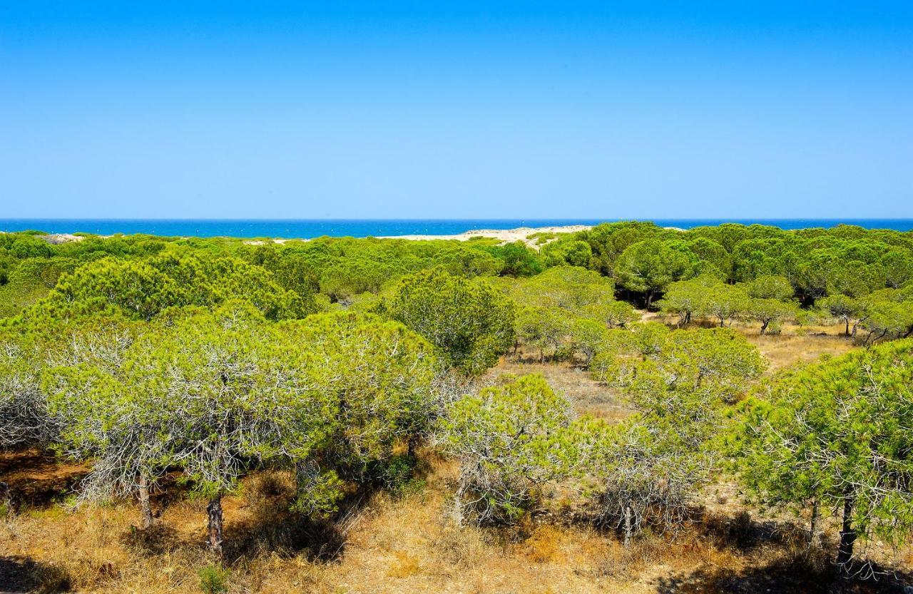 Luxury Pinada Beach ラ・マタ エクステリア 写真
